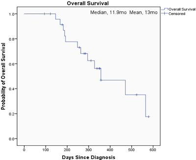 Therapeutic effect and safety of individualized chemotherapy combined with sequential immunotherapy based on BRCA1 mRNA expression level in unresectable pancreatic cancer